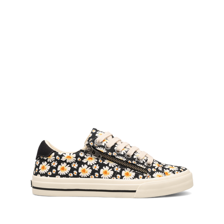 Outside Image of Z Soul Black Daisy 6
