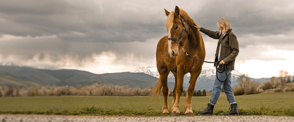 The Ultimate Waterproof Leather Boot Guide for Rainy Days