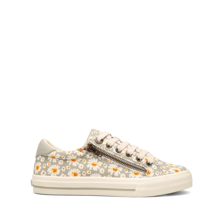 Outside Image of Z Soul Mist Daisy 7.5