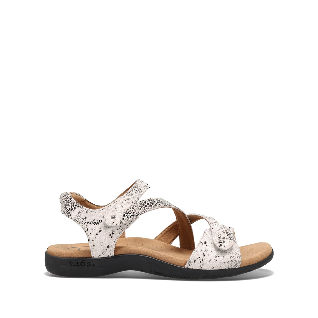 Outside Image of Big Time Grey Snake 9