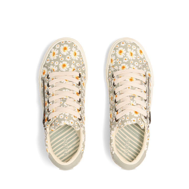 Top down Image of Z Soul Mist Daisy 7.5