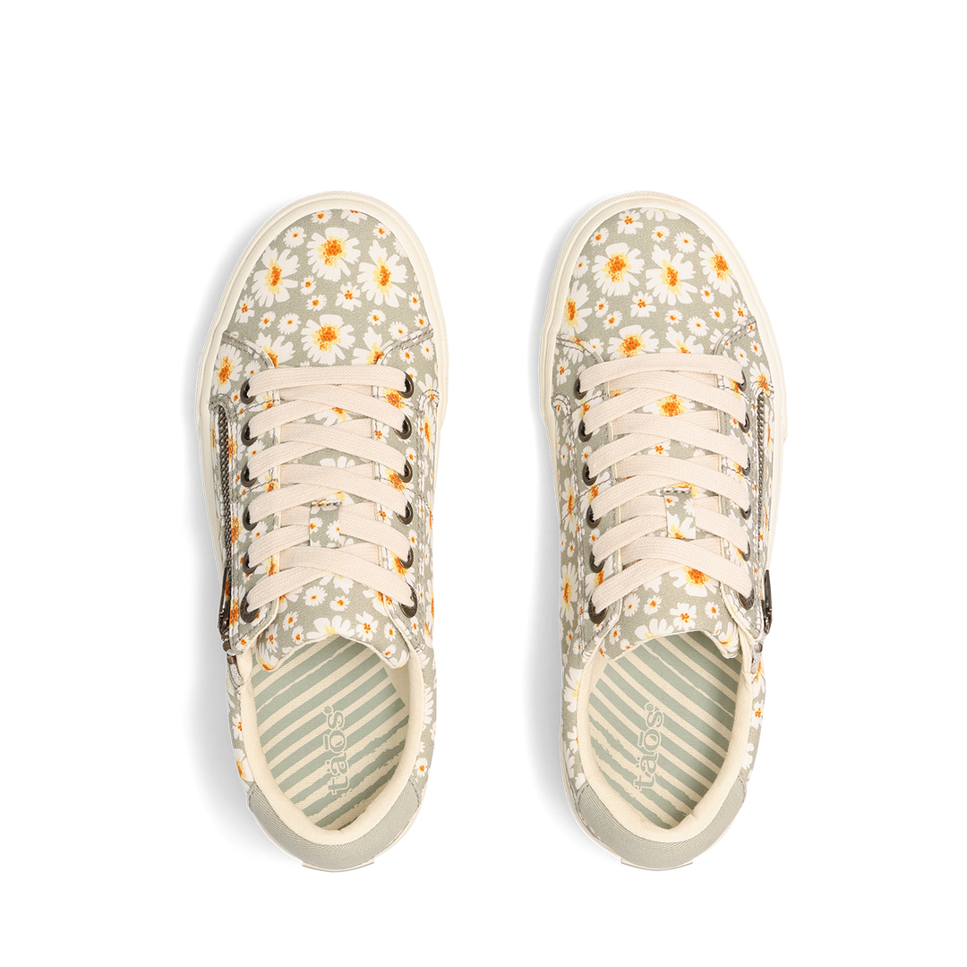 Top down Image of Z Soul Mist Daisy 7.5