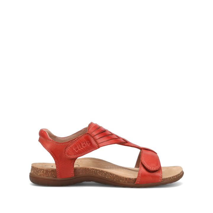 Outside Image of Wonderful Bruschetta 6