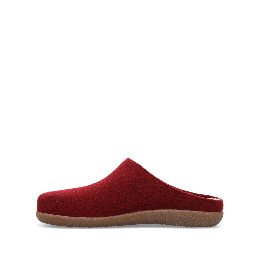 Instep image of Woolness Cranberry 36