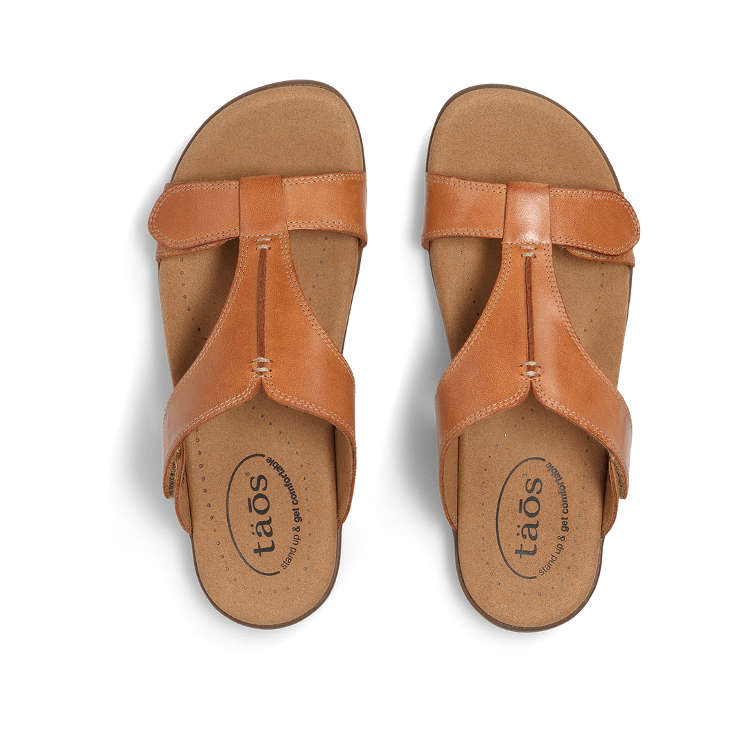 Top down Image of Slide Show Caramel 7