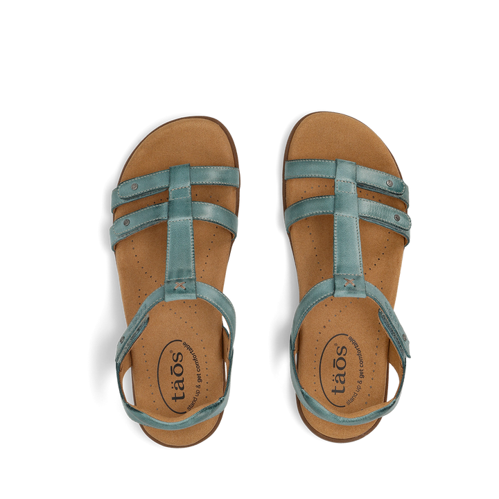 Top down Image of Trophy 2 Teal 12