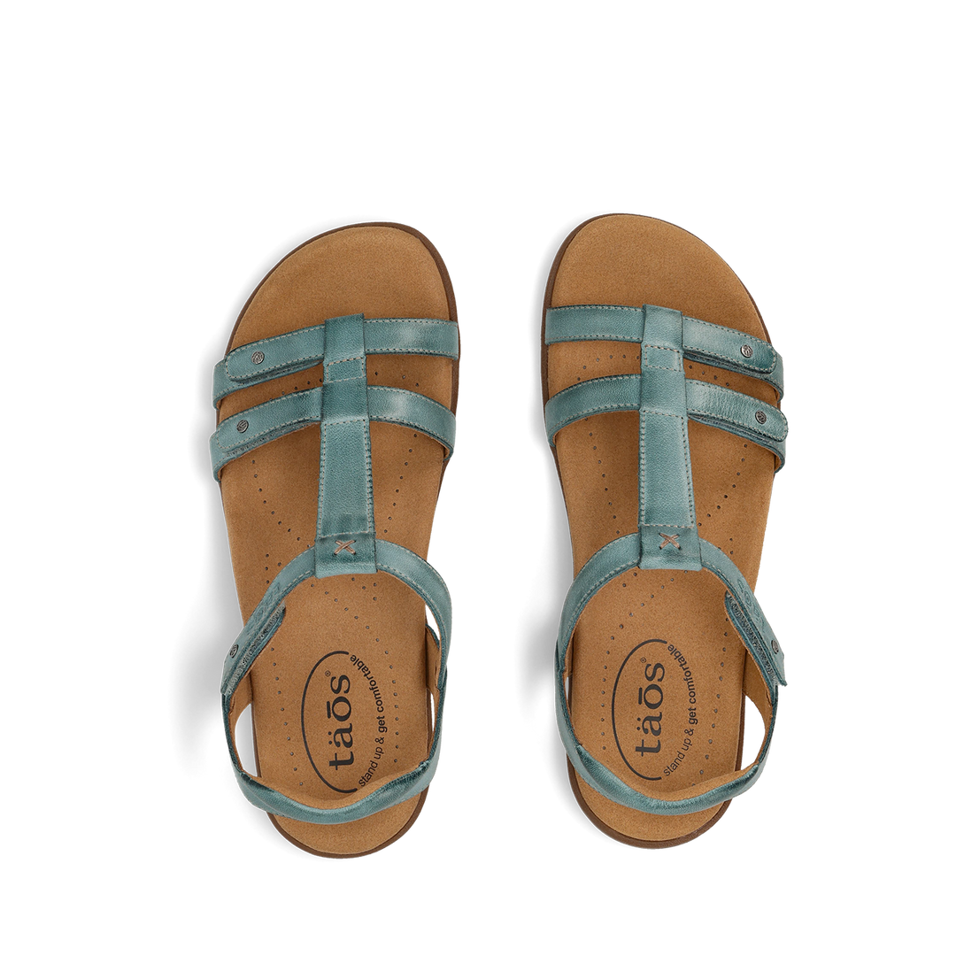 Top down Image of Trophy 2 Teal 12