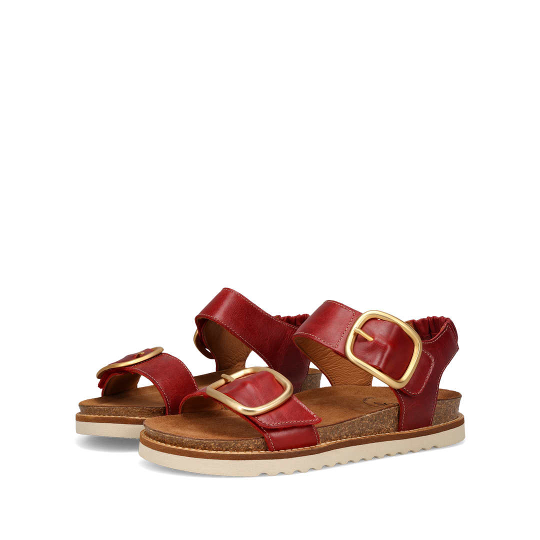 Pair Image of On The Double Red 39