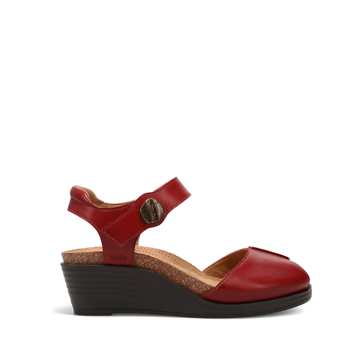 Outside image of Promise Red 7