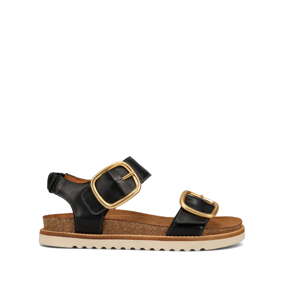 Outside Image of On The Double Black 38