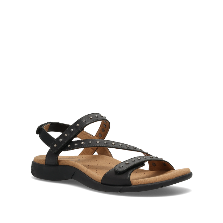 Hero Image of Dazzle Black 10