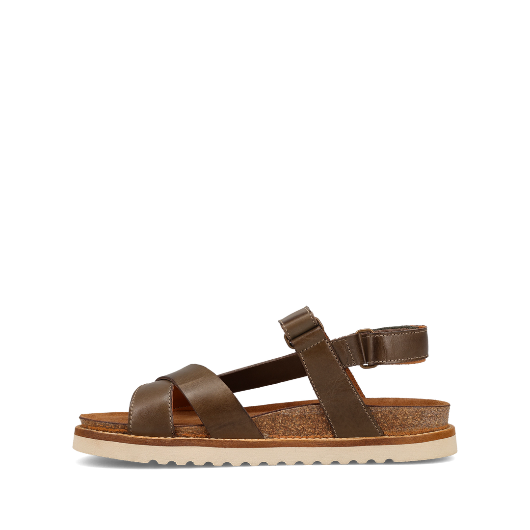 Instep Image of Sideways Olive 40