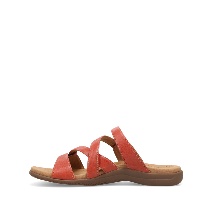 Instep image of Double U Ginger Spice 7