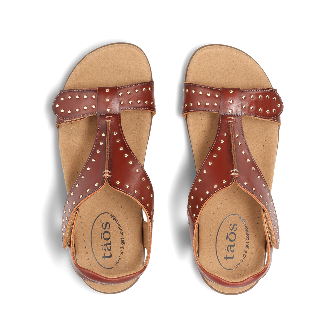 Top down Image of Show Stopper Cognac 11