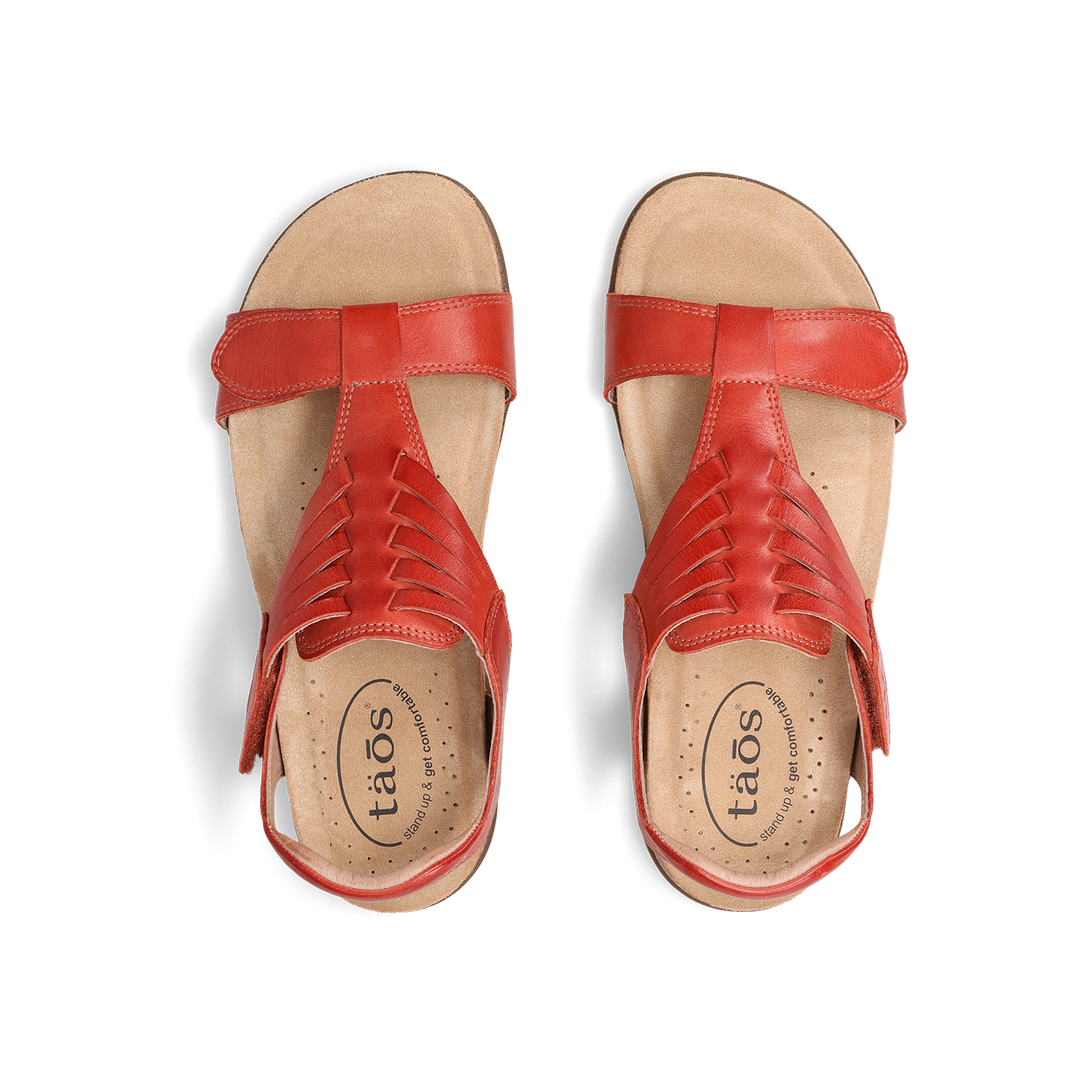 Top down Image of Wonderful Bruschetta 6