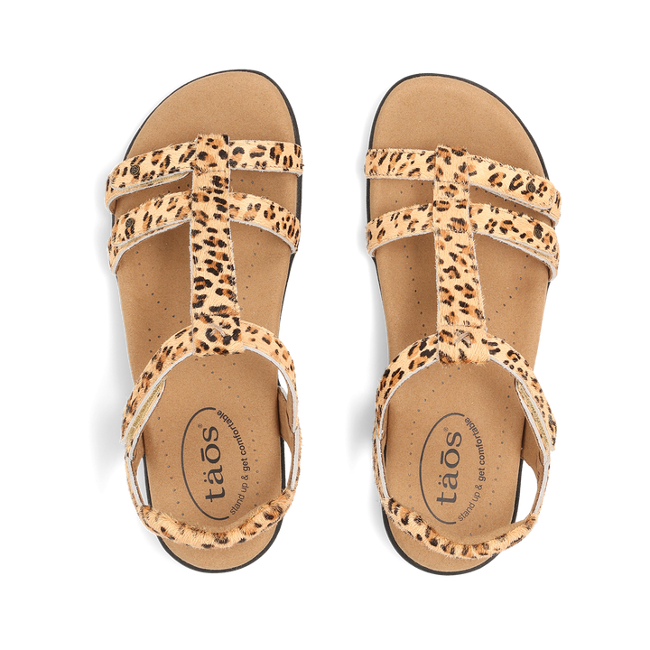 Top down Image of Trophy 2 Cheetah Pony Hair 9