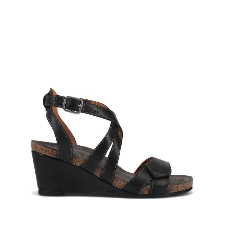 Outside Image of Xcellent 2 Black 36