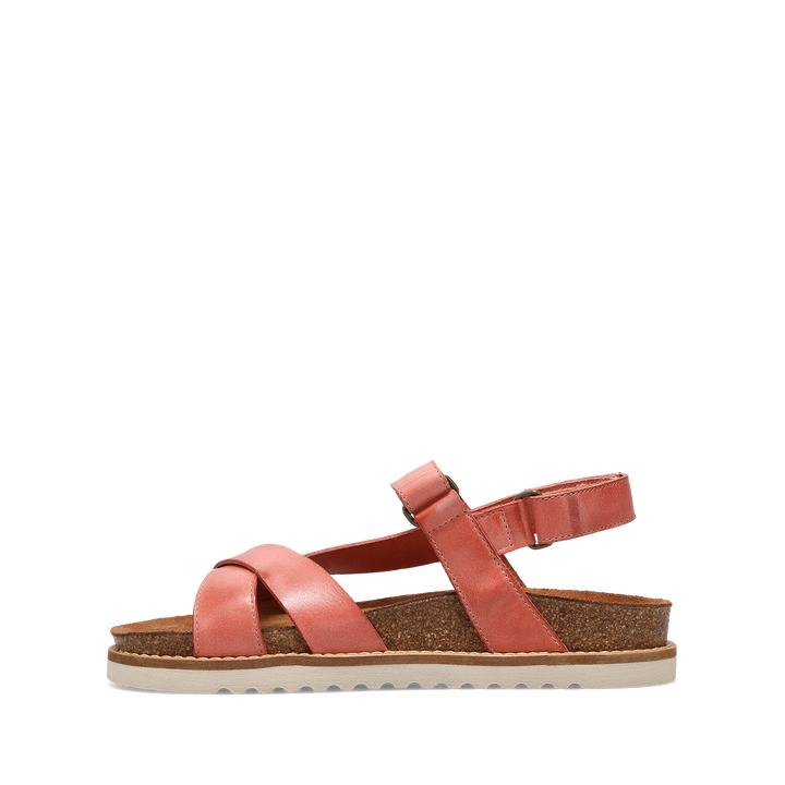 Instep image of Sideways Rosette 42