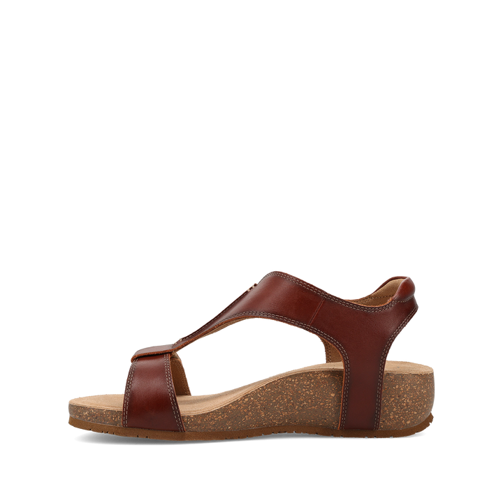 Instep image of Showtime Cognac 39