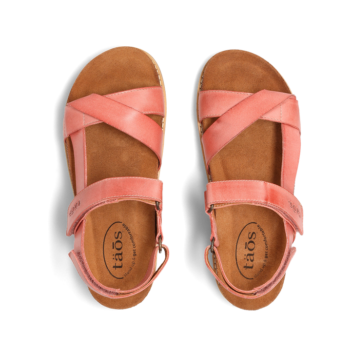 Top down image of Sideways Rosette 42