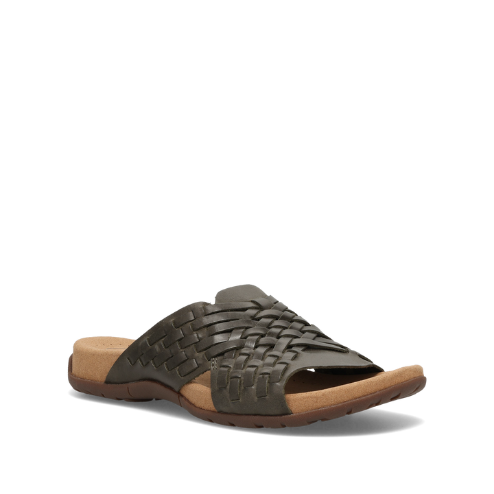 Hero Image of Guru Olive 7