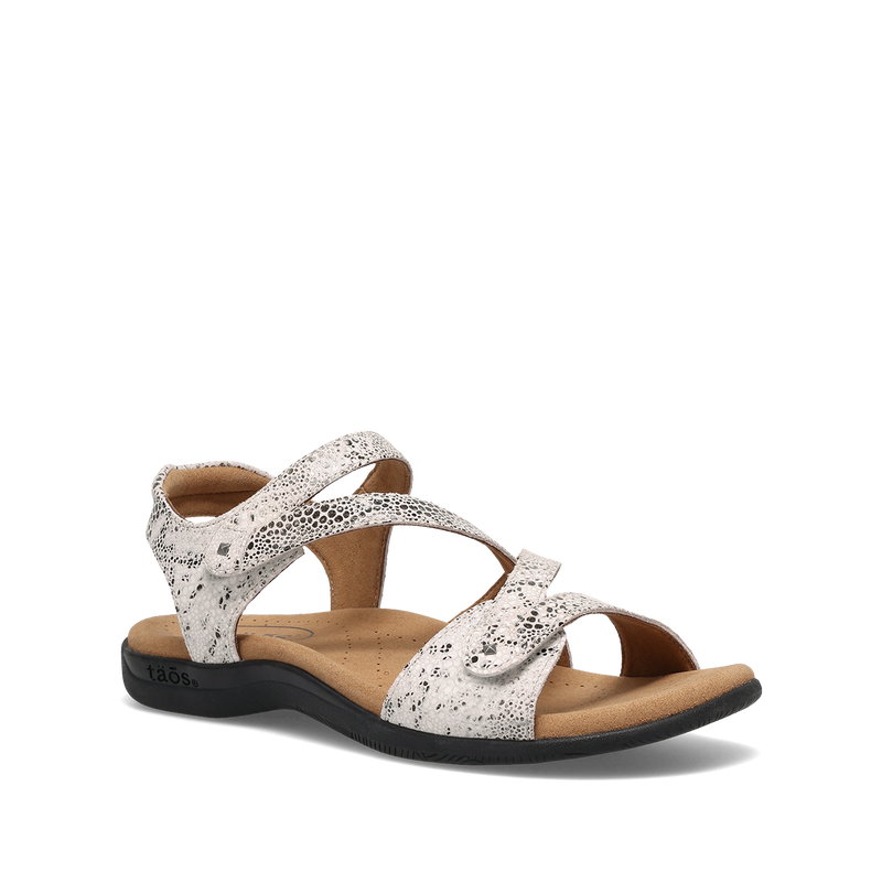 Hero Image of Big Time Grey Snake 9