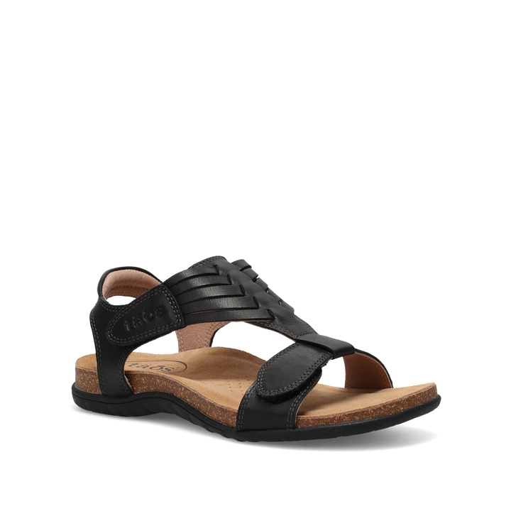 Hero Image of Wonderful Black 7