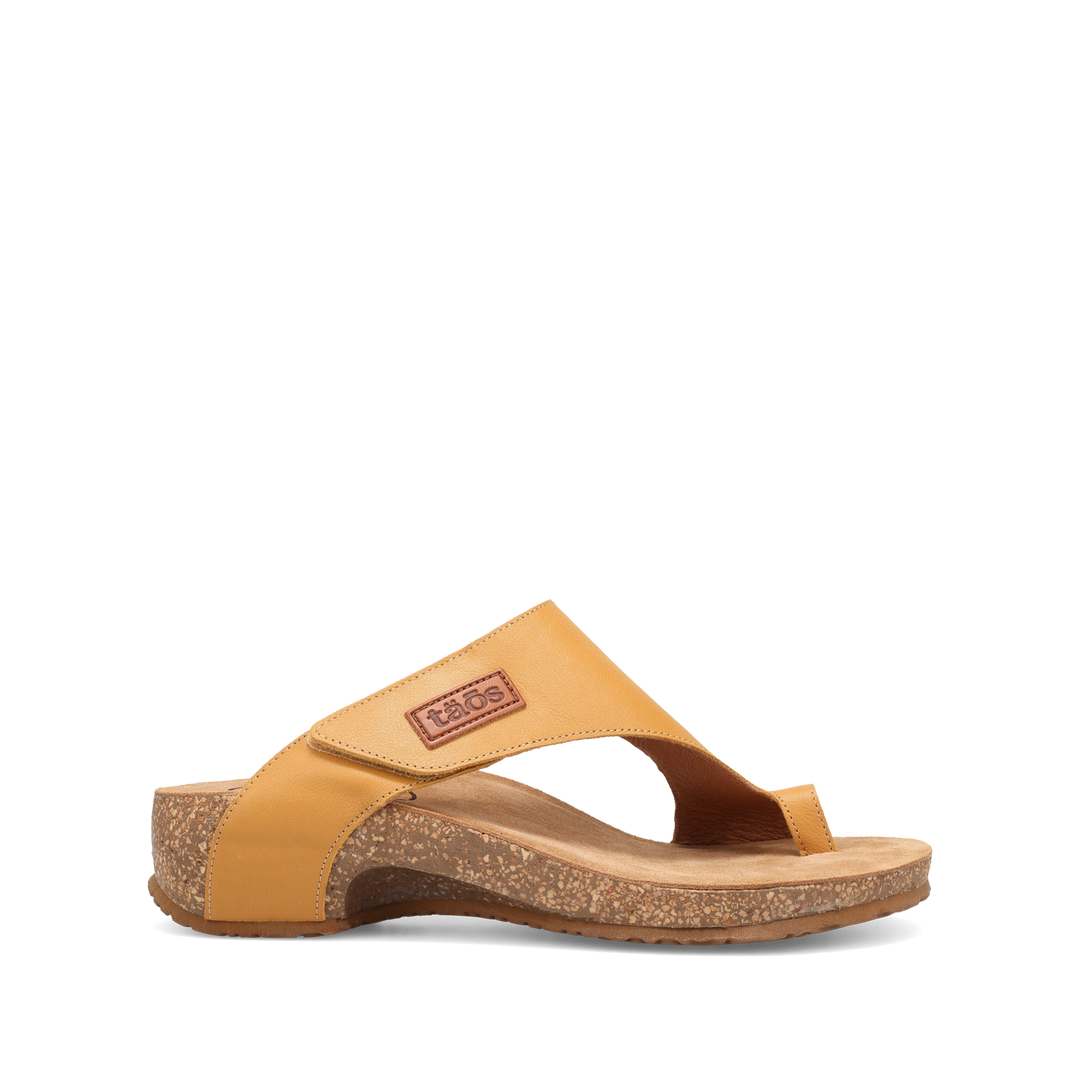 Outside Image of Loop Maize 11