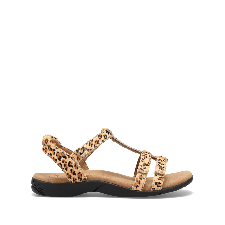 Outside Image of Trophy 2 Cheetah Pony Hair 9