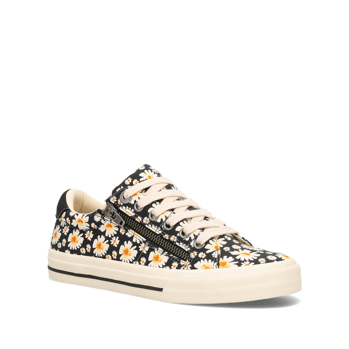 Hero Image of Z Soul Black Daisy 6