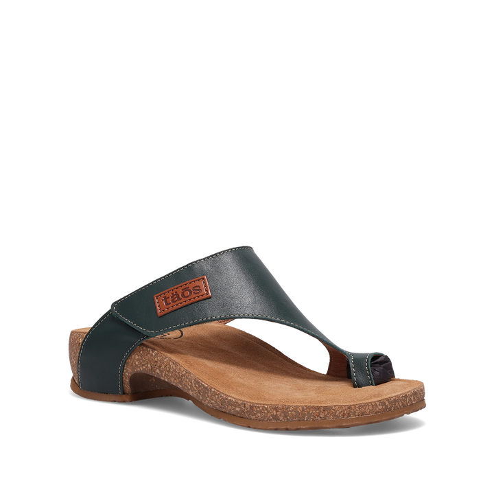 Hero Image of Loop Evergreen 41