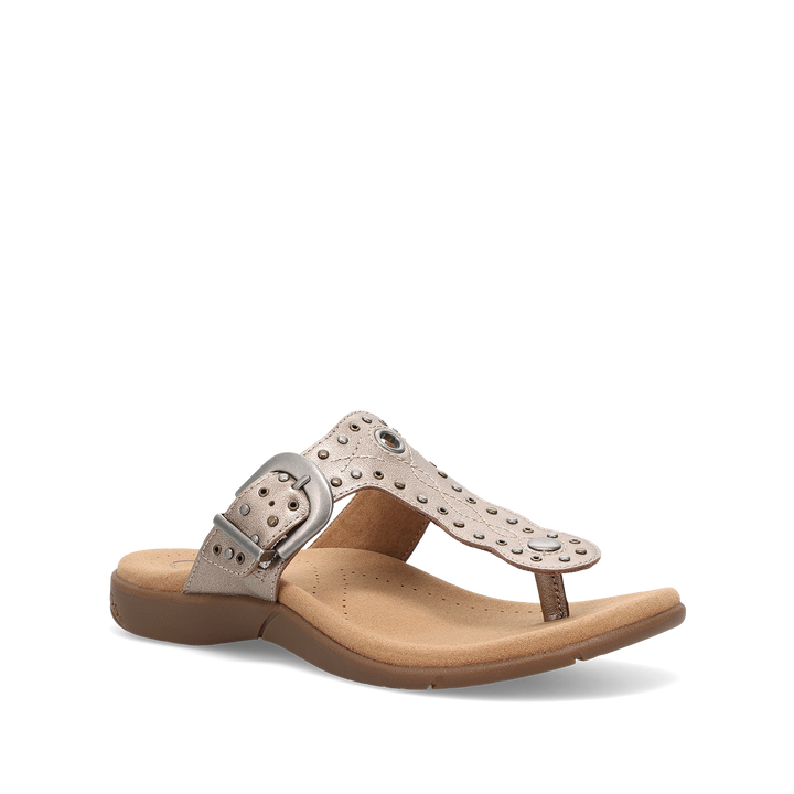 Hero Image of Flash Champagne 10