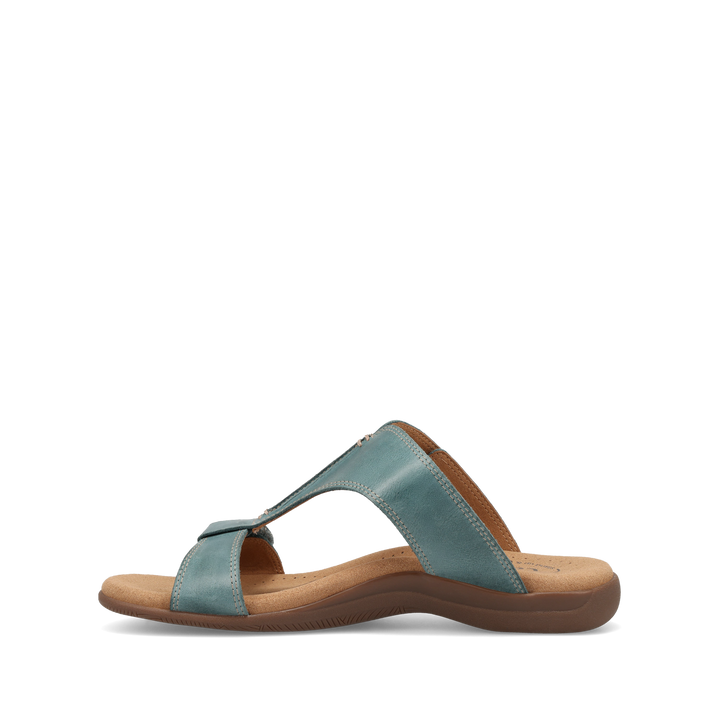 Instep Image of Slide Show Teal 10