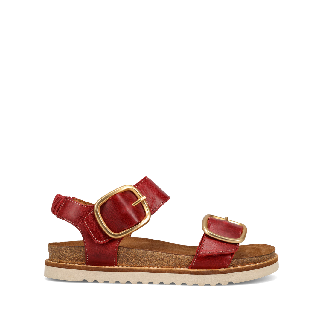 Outside Image of On The Double Red 39