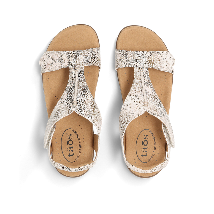 Top down Image of The Show Brown Snake 10