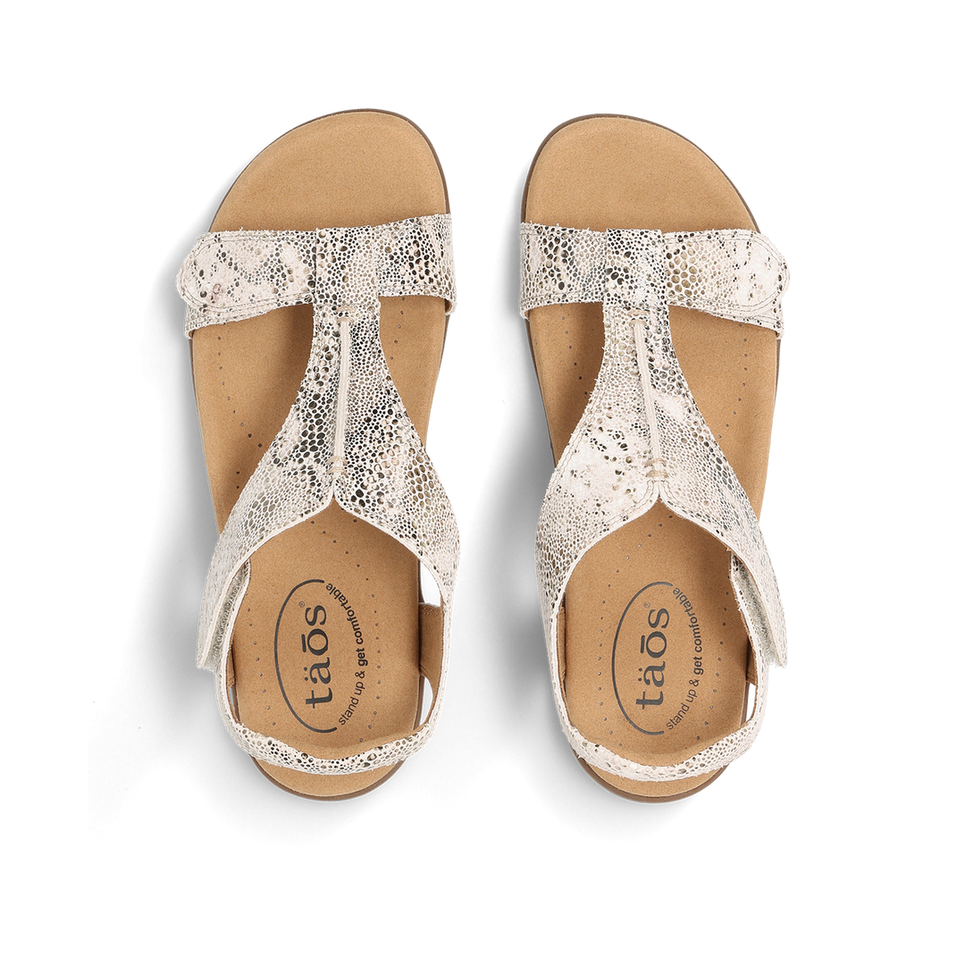 Top down Image of The Show Brown Snake 10