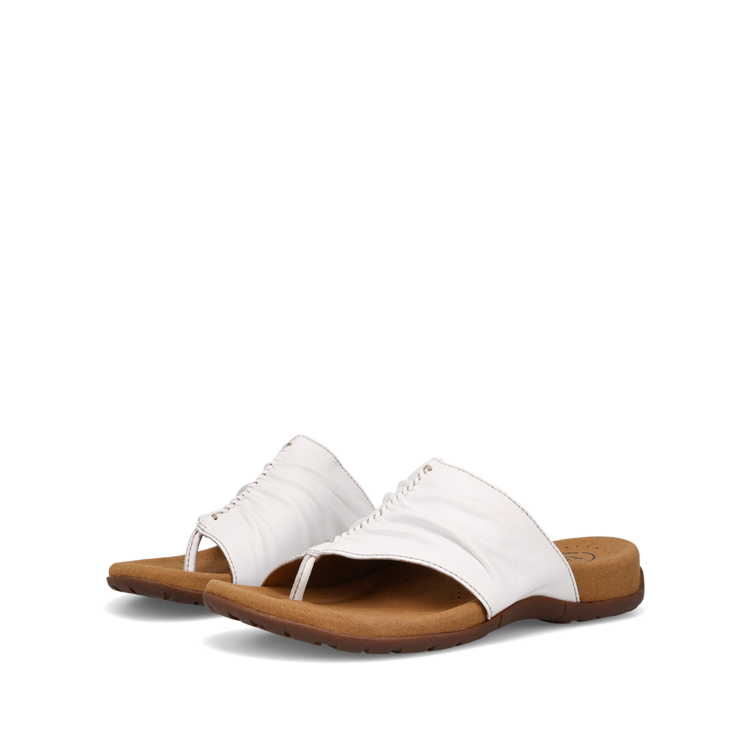 Pair Image of Gift 2 Classic White 9