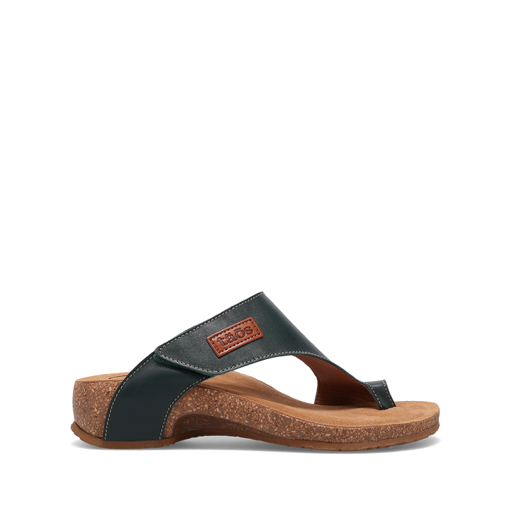 Outside Image of Loop Evergreen 41