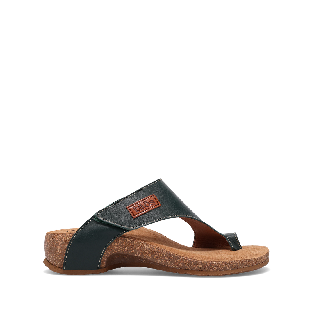 Outside Image of Loop Evergreen 41