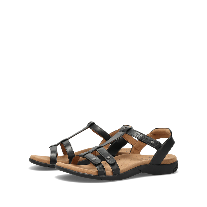 Pair image of Trophy 2 Black 6