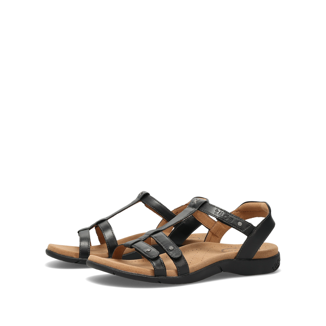 Pair image of Trophy 2 Black 6