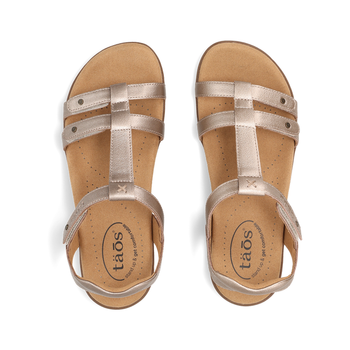 Top down Image of Trophy 2 Champagne 8