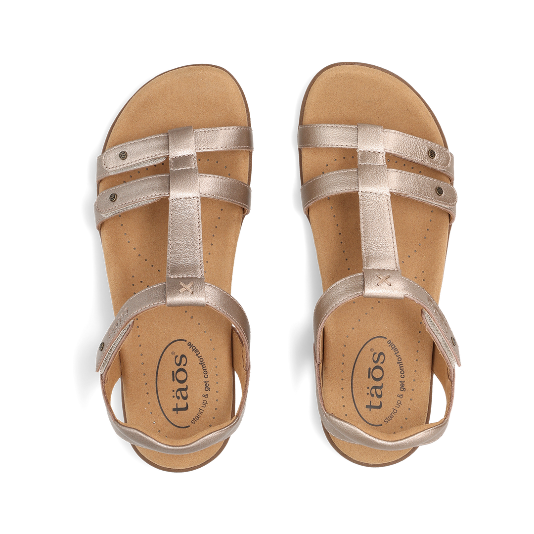 Top down Image of Trophy 2 Champagne 8