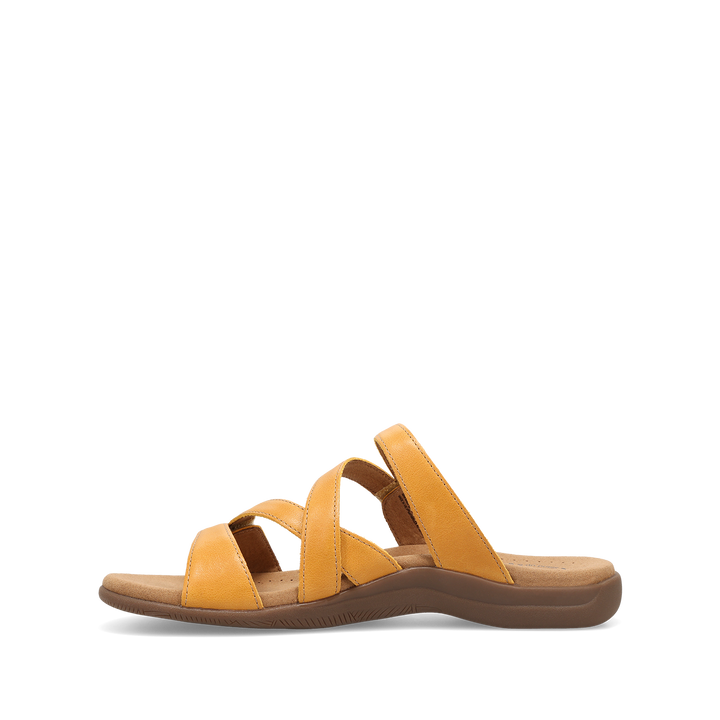 Instep image of Double U Sunflower 6