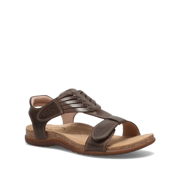 Hero Image of Wonderful Mocha 10