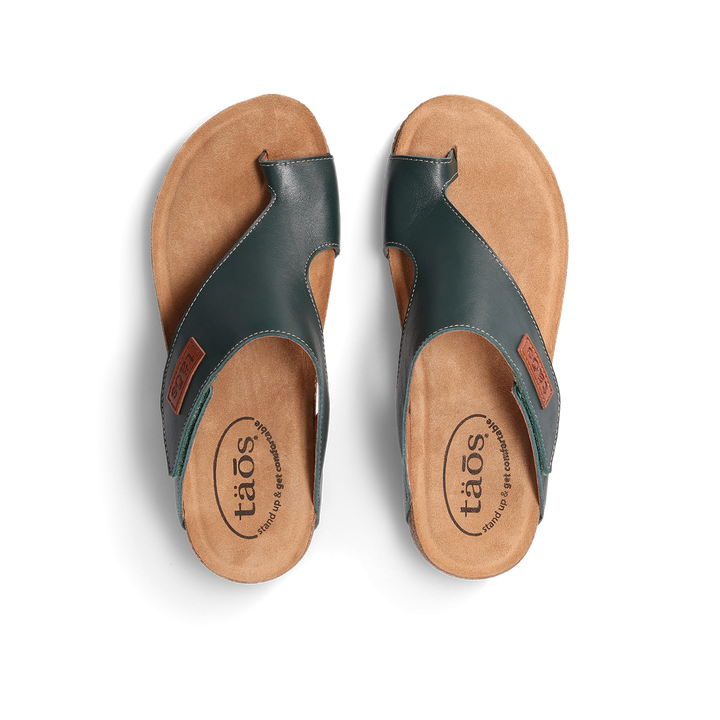 Top down Image of Loop Evergreen 41