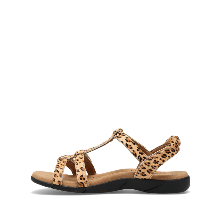 Instep Image of Trophy 2 Cheetah Pony Hair 9