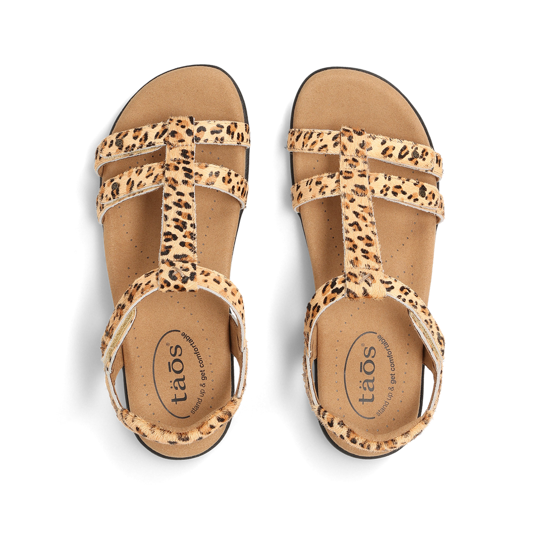 Top down Image of Trophy 2 Cheetah Pony Hair 9