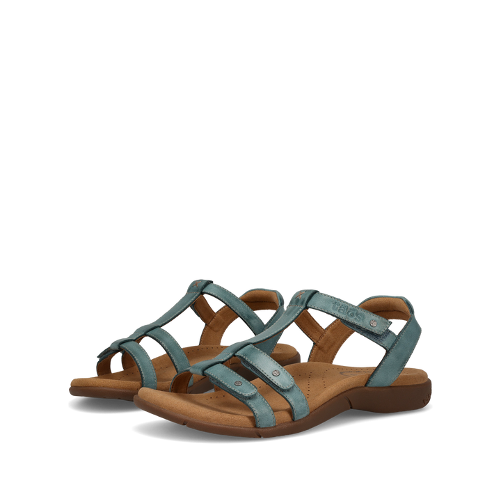 Pair Image of Trophy 2 Teal 12