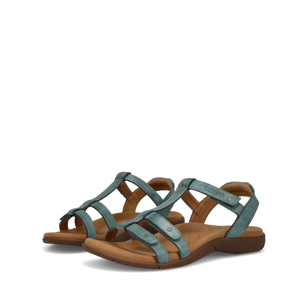 Pair Image of Trophy 2 Teal 12